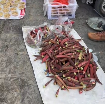 喜洲镇红秋葵